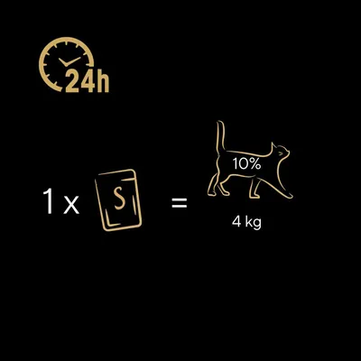 Feeding guide: 1 sachet per 24 hours equals 10% of daily intake for a 4 kg cat. Gold clock icon with 24h, sachet marked S, outline of cat with 10% and 4 kg text.