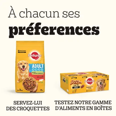 À chacun ses préférences. Pedigree Adult croquettes 12 kg et pack de 12 boîtes Pedigree, bœuf et volaille. Servez-lui des croquettes ou testez notre gamme d’aliments en boîtes. À chacun ses préférences. Pedigree Adult croquettes 12 kg et pack de 12 boîtes Pedigree, bœuf et volaille. Servez-lui des croquettes ou testez notre gamme d’aliments en boîtes.