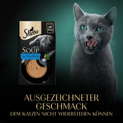Sheba Soup mit Thunfisch, Packung x4 40g. Ausgezeichneter Geschmack, dem Katzen nicht widerstehen können.