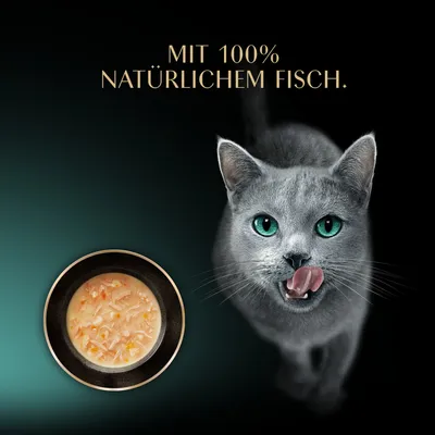 Multipack Sheba Classic Soup Frischebeutel 40 x 40 g