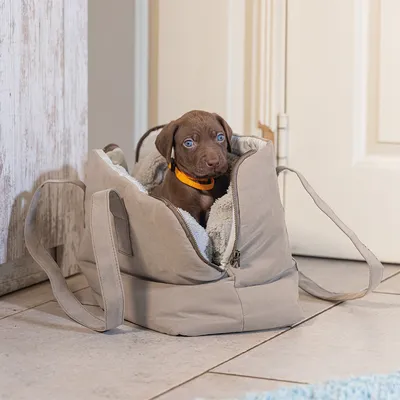Sac de transport beige en tissu avec intérieur doublé, contenant un chiot portant un collier jaune. Sac posé au sol devant une porte.