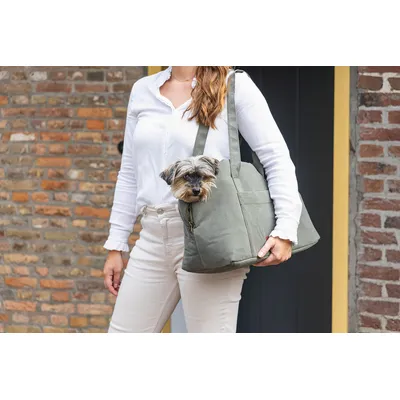 Designed by Lotte Bundu kutyahordozó táska