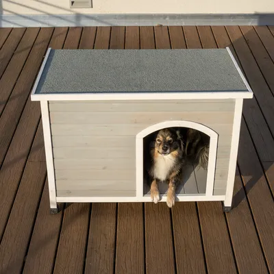 Hundkoja i trä med grått tak, hund ligger vid ingången på en terrass.
