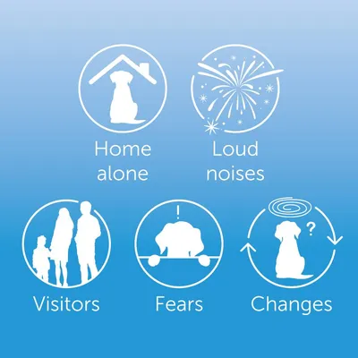 Icons with text: Home alone, Loud noises, Visitors, Fears, Changes. Indicates product use for situations like being home alone, loud sounds, visitors, fears, and changes.