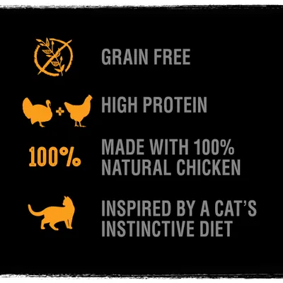 CRAVE Adult Turkey & Chicken Dry Cat Food