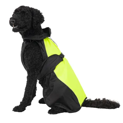 Schwarzer Hund trägt eine gelb-schwarze reflektierende Sicherheitsweste mit verstellbaren Gurten.