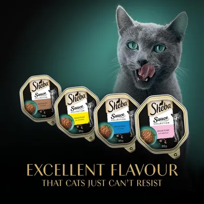 Sheba Sauce Collection 85g trays in various flavours shown with a cat and the text: Excellent flavour that cats just can’t resist.