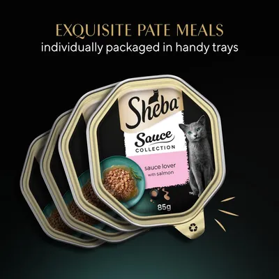Sheba Sauce Collection, sauce lover with salmon, 85g trays. Exquisite pâté meals individually packaged in handy trays.