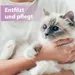 Felisept Fellpflegespray für Katzen