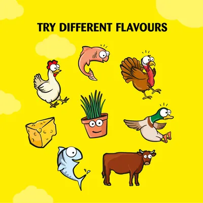 Try different flavours: chicken, salmon, turkey, cheese, grass, duck, fish and beef shown as cartoon icons.