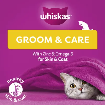 whiskas GROOM & CARE, With Zinc & Omega-6 for Skin & Coat, healthy skin & coat. A szöveg angol nyelvű.