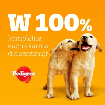 Pedigree. 100% kompletna karma sucha dla szczeniąt. Pedigree. 100% kompletna karma sucha dla szczeniąt.