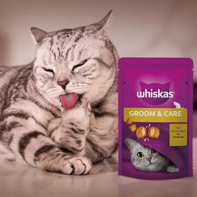 Whiskas Groom & Care Adult Cat Treats with Chicken Whiskas Groom & Care Adult Cat Treats with Chicken