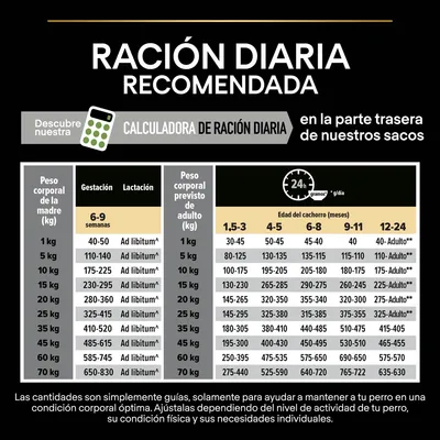 Tabla de ración diaria recomendada para perros según peso corporal y edad, incluye cantidades en gramos por día para gestación, lactación y cachorros de 1,5 a 24 meses. Texto explicativo inferior.
