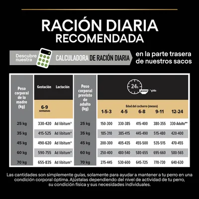 Tabla de ración diaria recomendada para perros según peso corporal y edad. Incluye valores en gramos por día para gestación, lactación y cachorros de 1 a 24 meses. Calculadora disponible.