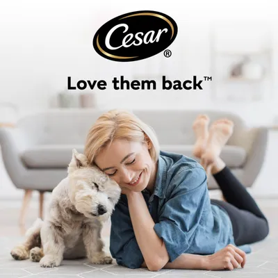 Cesar Natural Goodness Terrine Mixed Selection - 24 x 100g Cesar Natural Goodness Terrine Mixed Selection - 24 x 100g