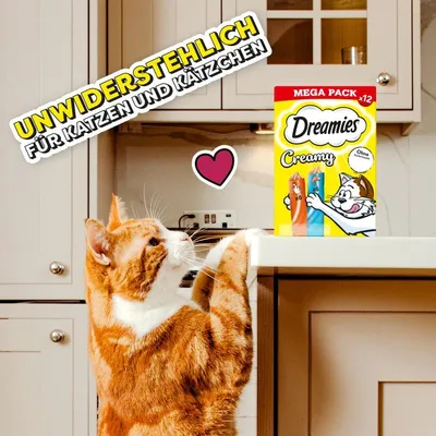 Dreamies Creamy Mega Pack x12, unwiderstehlich für Katzen und Kätzchen. Ohne Zusatz von Zucker. Katze greift nach Produkt auf Küchentheke.