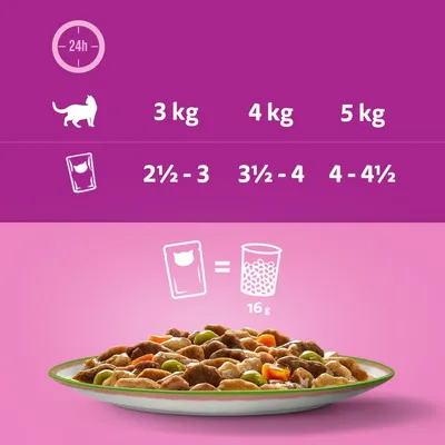 Feeding guide showing daily portions by weight: 3kg—2½ to 3 pouches, 4kg—3½ to 4 pouches, 5kg—4 to 4½ pouches. One pouch equals 16g dry food.