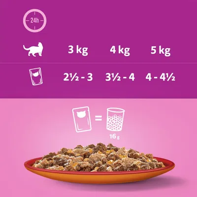 Feeding guide showing daily portions by weight: 3kg needs 2½–3 pouches, 4kg needs 3½–4, 5kg needs 4–4½. One pouch equals 16g dry food.