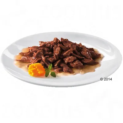 Portie stukjes vlees in saus op een wit bord, daarnaast een stuk wortel en een groen blaadje. Portie stukjes vlees in saus op een wit bord, daarnaast een stuk wortel en een groen blaadje.