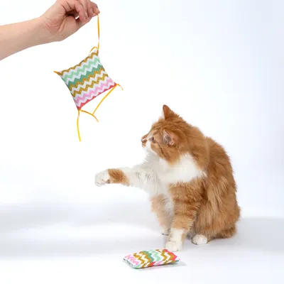 Gato juega con un cojín colorido con diseño de zigzag y cintas amarillas, otro cojín está en el suelo.