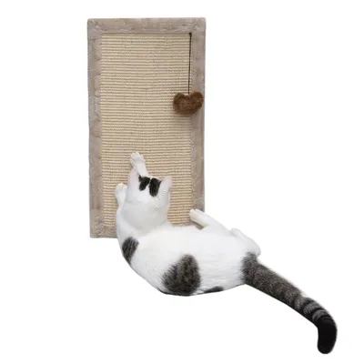 Kratzbrett mit Sisal-Oberfläche und hängendem Herzspielzeug, Katze demonstriert Nutzung durch Kratzen.