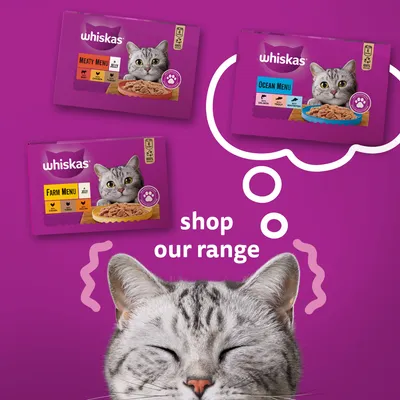Tre confezioni Whiskas: Meaty Menu, Farm Menu, Ocean Menu con immagini di gatti e ciotole. Testo in inglese: shop our range.