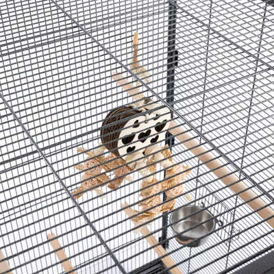 Intérieur de cage en métal avec perchoirs en bois, jouet suspendu en corde et carton décoré de cœurs, gamelle en acier inoxydable fixée à la grille.