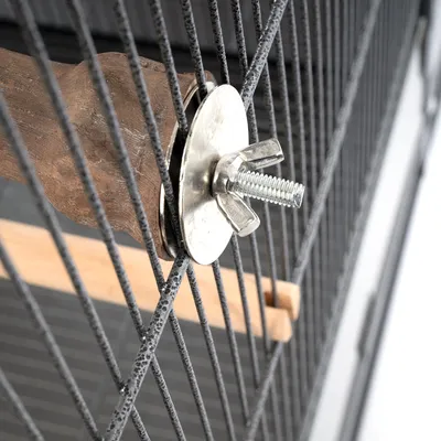 Close-up of a wooden perch with metal holder and wing screw, attached to a wire cage.