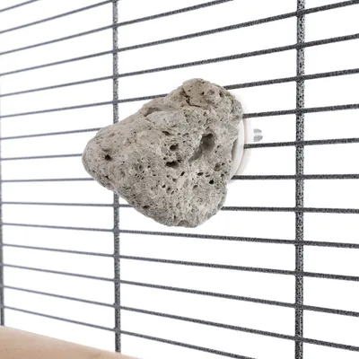 Пемза с держателем, закреплена на решетчатой клетке. Подходит для ухода за когтями или клювами.