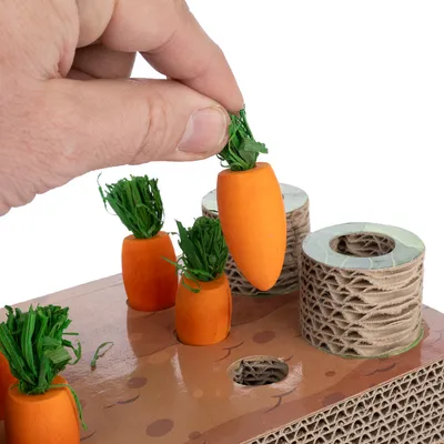 Main retirant une fausse carotte d’un jouet en carton avec trous et cylindres, plusieurs carottes artificielles visibles sur la surface du jeu.