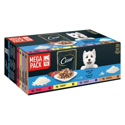 Cesar MEGA PACK 40x100g, različne vrste pasje hrane za senior 10+ v želeju. Na embalaži so slike porcij hrane in riža ter barvno označene sorte po 10 vrečk.