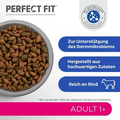 Perfect Fit Adult 1+ Trockenfutter. Unterstützt das Darmmikrobiom, hergestellt aus hochwertigen Zutaten, reich an Rind. Mit natürlichen Präbiotika aus Hefe.