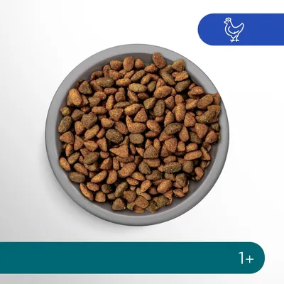 Bowl filled with dry food, chicken icon in top corner, and label showing suitable for age 1 and above.