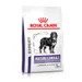 Royal Canin Expert Canine Mature Consult Large Dog