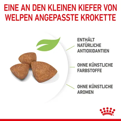 Krokette angepasst an kleine Kiefer von Welpen. Enthält natürliche Antioxidantien, ohne künstliche Farbstoffe und ohne künstliche Aromen.