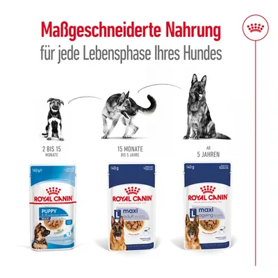 Royal Canin. Massgeschneiderte Nahrung für jede Lebensphase Ihres Hundes: Puppy 2-15 Monate, Adult 15 Monate bis 5 Jahre, Ageing ab 5 Jahren. Verpackungen und Hunde abgebildet.