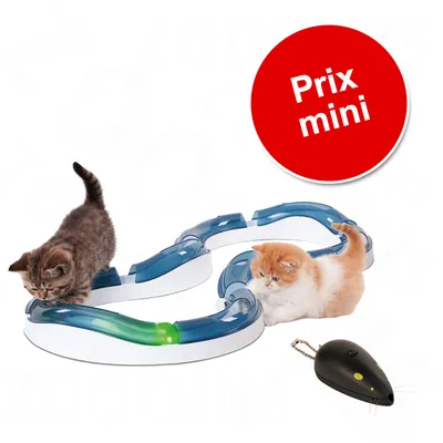 Lot : attrape-moi si tu peux !