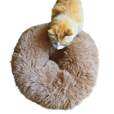 Katzenbett aus flauschigem Material in Beige, mit einer Katze darauf liegend.