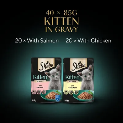 Kitten in gravy multipack, 40 pouches of 85g each: 20 with salmon and 20 with chicken. Image shows two pouch types labelled with salmon and chicken.