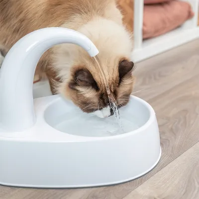 Katzentrinkbrunnen mit fließendem Wasser, beige-weiße Katze trinkt daraus. Geeignet für die Förderung der Flüssigkeitsaufnahme bei Haustieren.