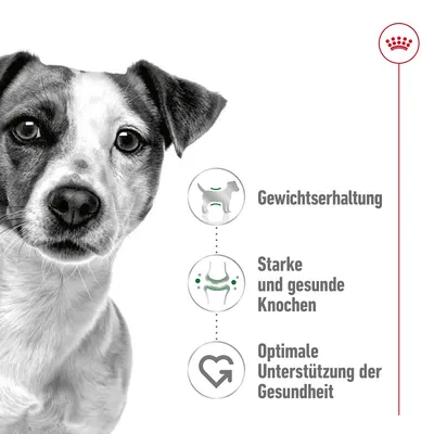 Gewichtserhaltung, starke und gesunde Knochen, optimale Unterstützung der Gesundheit. Drei Symbole mit Hund, Gelenken und Herz dargestellt.