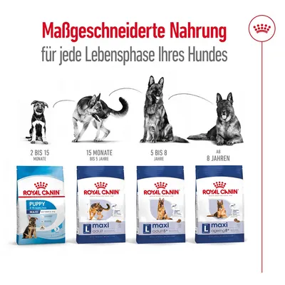 Royal Canin корм для собак: Puppy Maxi 2-15 месяцев, Maxi Adult 15 месяцев–5 лет, Maxi Adult 5–8 лет, Maxi Ageing от 8 лет.