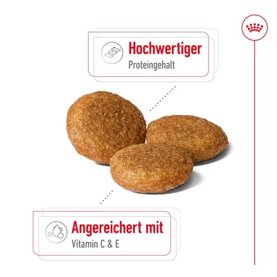 Hochwertiger Proteingehalt, Angereichert mit Vitamin C & E (texte en allemand) visibles à côté de trois croquettes rondes.