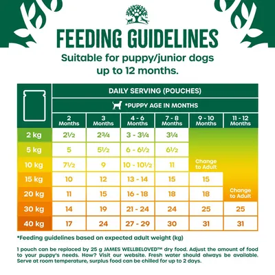 Feeding guidelines chart for puppy or junior dogs up to 12 months, showing daily serving pouches by expected adult weight and age in months. Includes advice to change to adult food.