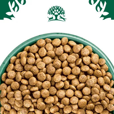 James Wellbeloved Grain-Free Puppy/Junior Hypoallergenic Turkey & Vegetables - Economy Pack: 2 x 1.5kg