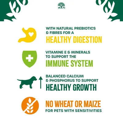 James Wellbeloved Puppy & Junior Hypoallergenic  - Lamb & Rice