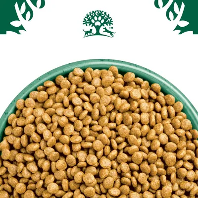 Bowl filled with dry pet food kibble, shown close up to display shape and texture. Brand tree symbol visible above the bowl.