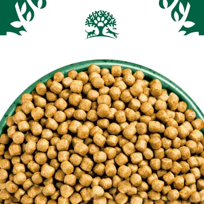Close-up of dry pet food kibble in a green bowl, with a tree and animal symbol above. Shows product shape and quantity for shopping decisions.
