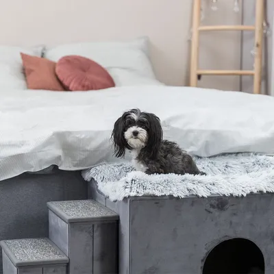 Hund sitzt auf grauem, plüschigem Haustierbett mit integrierter Treppe und Höhle. Bett steht neben einem großen weißen Bett mit Kissen.